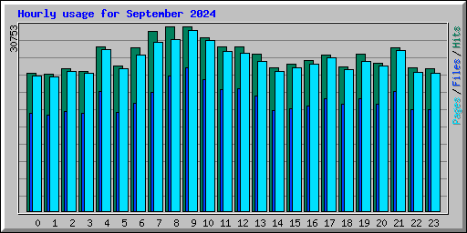 Hourly usage for September 2024