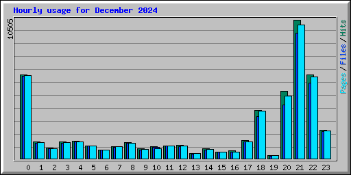 Hourly usage for December 2024