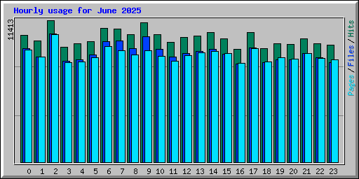 Hourly usage for June 2025