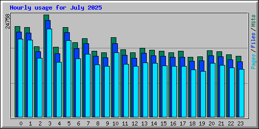 Hourly usage for July 2025