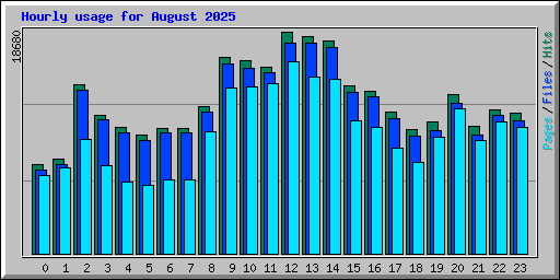 Hourly usage for August 2025