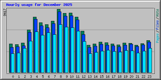 Hourly usage for December 2025