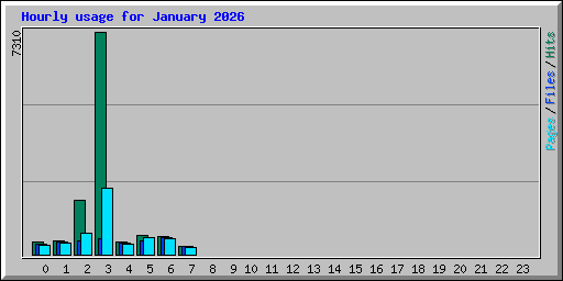 Hourly usage for January 2026